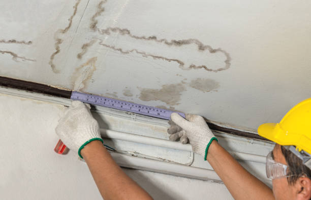 Reliable Burst Pipe Cleanup contractor in Bannister, MI by Water Damage Irwin